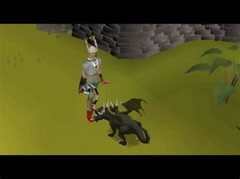 osrs kbd pet